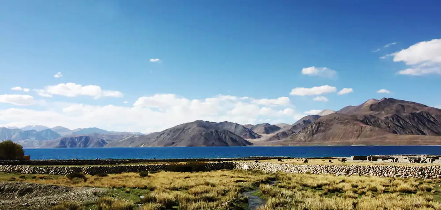 Hotel Pangong Sarai